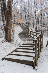 Escaliers dans le parc - Secteur de l'Estacade - Québec - Canada - 05809