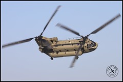 Koninklijke Luchtmacht (Royal Netherlands Air Force) / Boeing CH-47F Chinook / D-604