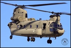 Koninklijke Luchtmacht (Royal Netherlands Air Force) / Boeing CH-47F Chinook / D-604