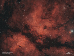 IC1318_Sadr_BiColour_05-8-2024