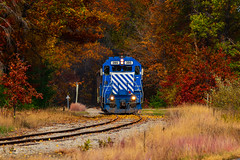 Fancy Fall Foliage Photo