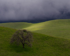 Light Over Tehachapi