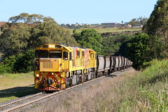 IMG_4200 2315 2302 Willims Road Crossing dn Coal 23.10.24