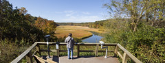 Taskinas Creek -  York River State Park -  Virginia _(cell)