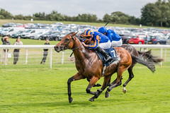 Another winner for Ballydoyle