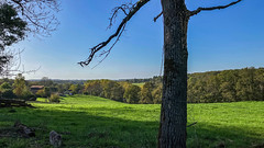 Saint-Martin-le-Pin landscape