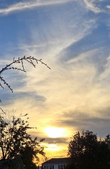 Halloween late afternoon sky - clouds