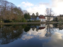 Reflections on the river