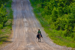 Amish Boy on Pony in Central Michigan