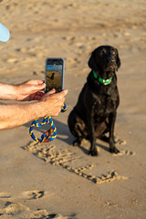 Man takes a photo of a black labrador retriever dog at the beach, with his name Willy written in the sand