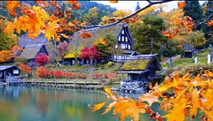 Autumnal Mood-Shirakawa-Japan