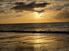 Quand le sable se change en or - Manche - Normandie - France - Europe(On Explore November 3, 2024)