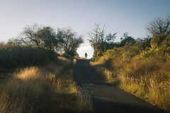 Le chemin de Pailhès