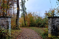 Step in to old Burg Reichenstein