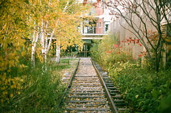 train tracks on film