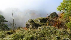 Thüringer Wald bei Bad Liebenstein, Nebel gegen Sonne....