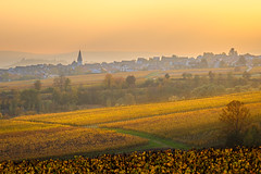 Rheingau, Germany (Explore)