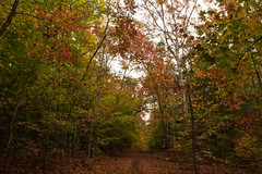 OC 11-1-24 Beaver Pond Trail