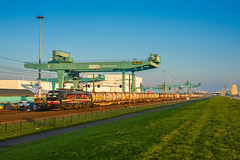 SBB Cargo 193 701, Rotterdam (NL)