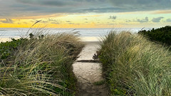 Pathway to the beach