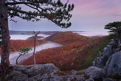 Wienerwald in autumn