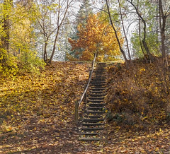 Autumn Stairway