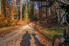 2024 Bike 180: Day 178, November 9