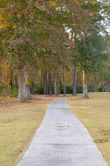 Golf Path