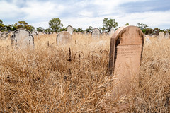 Wilcannia's Cemetery (Barkindji Country, New South Wales)