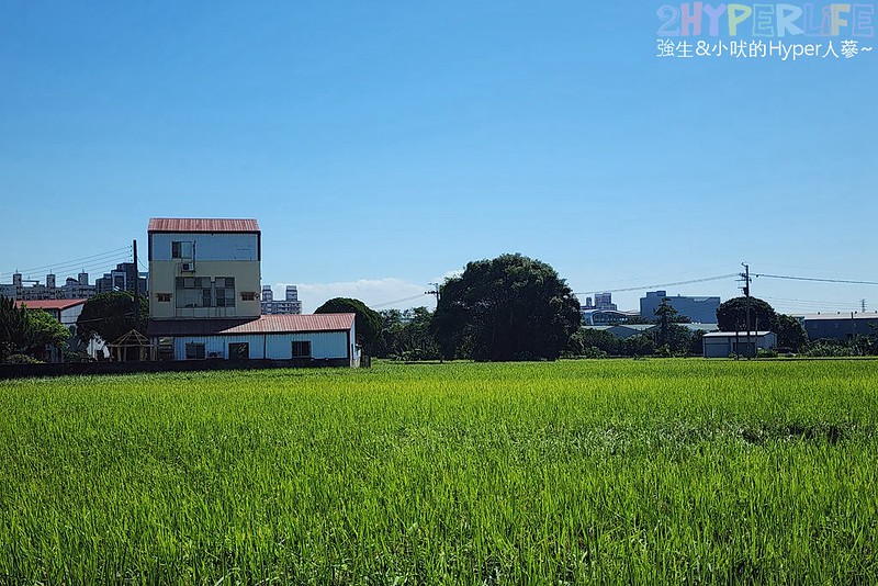 田寮農莊景觀餐廳│位在田中央的世外桃源，提供個人簡餐也有多人合菜，南屯隱藏版田園景點 @強生與小吠的Hyper人蔘~