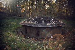 Mushroom picking in the French Woods