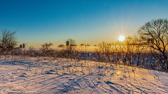 Matin d'hiver en Montérégie