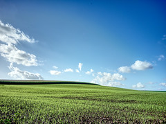 Pastoral scene