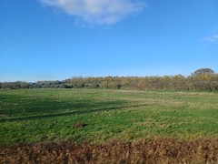 Between Bognor and Barnham from the train, West Sussex