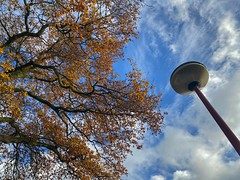 Looking up