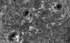 Sun in H-alpha 27 Nov 2024 15h04m41s ZWO ASI174MM Exposure=6.4ms Gain=120 H-alpha C8 SCT Quark TS PI BW Ps-Topaz