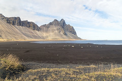 Vestrahorn and Stokksnes beach