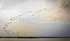 Lagoa de Santo André