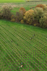 Boomplantdag Kontich 2024