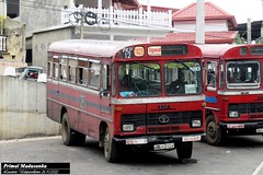 NA-2922 Walapane Depot Tata - LP 1510/42 C type Bus at Udapussellawa in 26.10.2022