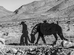 Walking the Fence Line