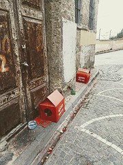 Cat shelter