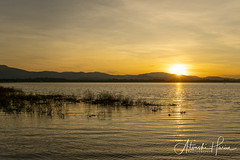 Bang Phra Reservoir