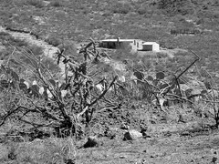 Old Homer Wilson Ranch Site, Along Ross Maxwell Scenic Drive -  Big Bend National Park, Southwestern Texas