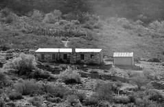 Old Homer Wilson Ranch Site, Along Ross Maxwell Scenic Drive -  Big Bend National Park, Southwestern Texas