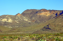 Chihuahuan Desert Landscape, Along Ross Maxwell Scenic Drive -  Big Bend National Park, Southwestern Texas