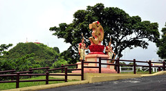 Shiv Parivar Mandir, anniversary, sculpture