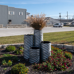 Ornamental grass idea, for a stand of corrugated pipe.