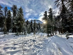 Winter hike