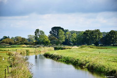 Lehmdermoor / Geestrandtief / Landkreis Ammerland